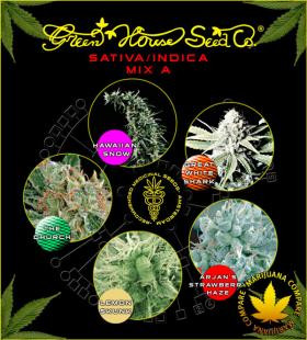Sativa/Indica Mix A - GREEN HOUSE SEEDS | TanieSianie.pl