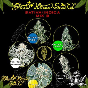 Sativa/Indica Mix B - GREEN HOUSE SEEDS | TanieSianie.pl