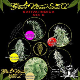 Sativa/Indica Mix C - GREEN HOUSE SEEDS | TanieSianie.pl
