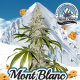 Mont Blanc - T.H. Seeds | TanieSianie.pl