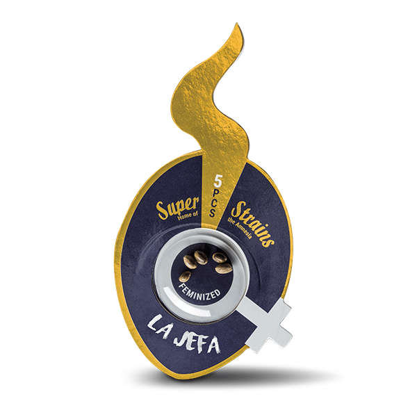 La Jefa - SUPER STRAINS | TanieSianie.pl