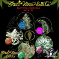 Sativa/Indica Mix D - GREEN HOUSE SEEDS
