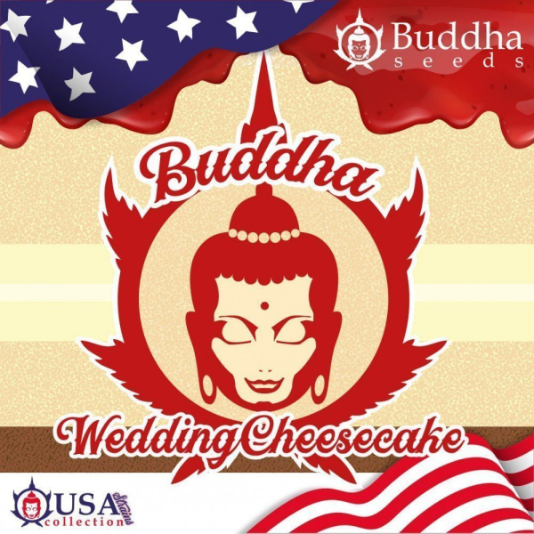 Buddha Wedding Cheesecake - BUDDHA SEEDS | TanieSianie.pl