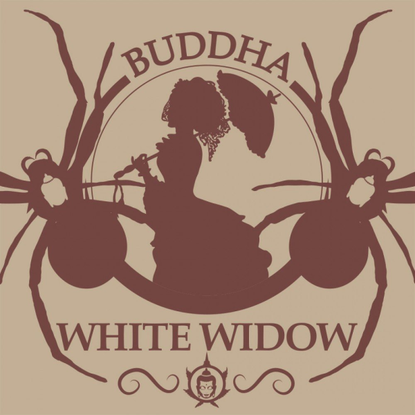 Buddha White Widow - BUDDHA SEEDS | TanieSianie.pl