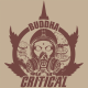Buddha Critical - BUDDHA SEEDS | TanieSianie.pl