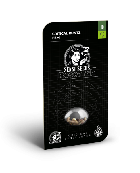 Critical Runtz - SENSI SEEDS | TanieSianie.pl