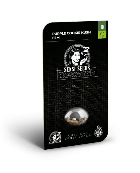 Purple Cookie Kush - SENSI SEEDS | TanieSianie.pl