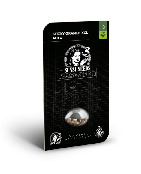 Sticky Orange XXL Auto - SENSI SEEDS | TanieSianie.pl