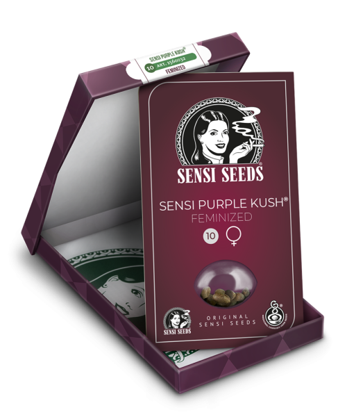 Sensi Purple Kush - SENSI SEEDS | TanieSianie.pl