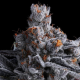 High MARS - ANESIA SEEDS | TanieSianie.pl