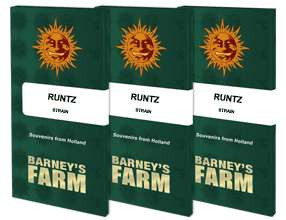 Runtz - BARNEY'S FARM | TanieSianie.pl