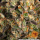 Biscotti - BARNEY'S FARM | TanieSianie.pl