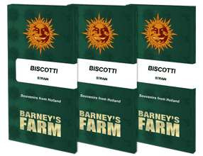 Biscotti - BARNEY'S FARM | TanieSianie.pl
