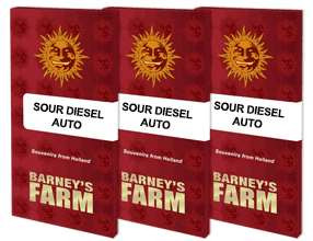 Sour Diesel Auto - BARNEY'S FARM | TanieSianie.pl
