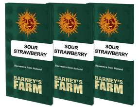 Sour Strawberry - BARNEY'S FARM | TanieSianie.pl