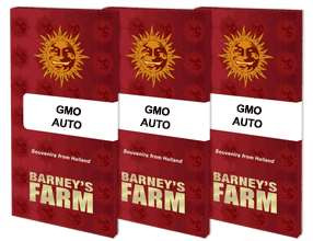 GMO Auto - BARNEY'S FARM | TanieSianie.pl