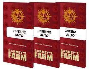Cheese Auto - BARNEY'S FARM | TanieSianie.pl