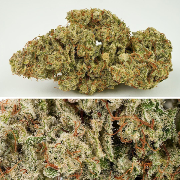 Auto SFV OG - DUTCH PASSION | TanieSianie.pl