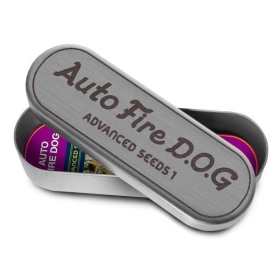 Auto Fire DOG - ADVANCED SEEDS | TanieSianie.pl