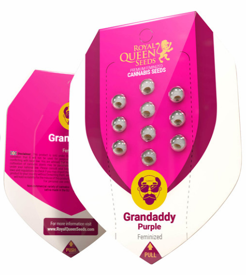 Granddaddy Purple - ROYAL QUEEN SEEDS | TanieSianie.pl
