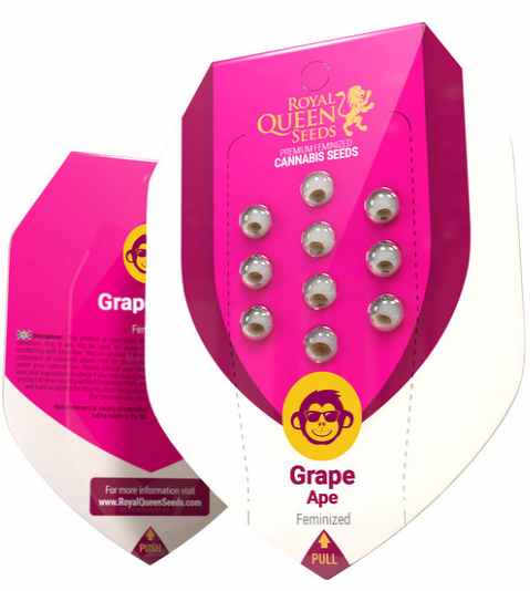 Grape Ape - ROYAL QUEEN SEEDS | TanieSianie.pl