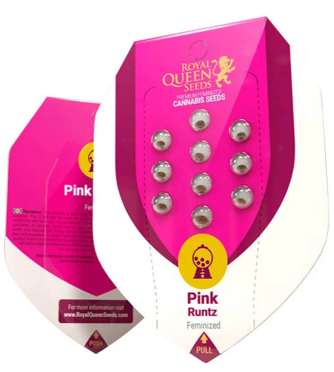 Pink Runtz - ROYAL QUEEN SEEDS | TanieSianie.pl