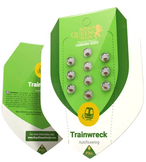 Trainwreck Auto - ROYAL QUEEN SEEDS | TanieSianie.pl