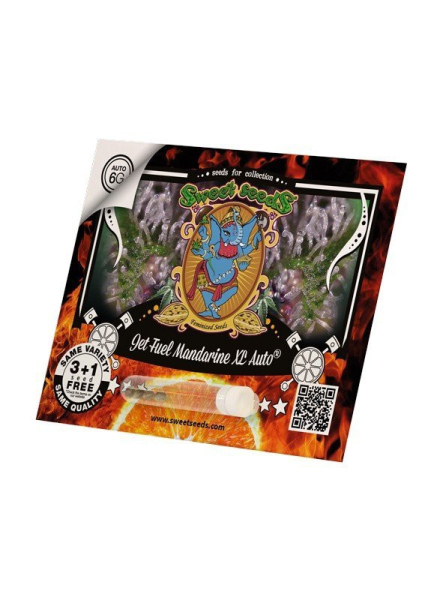 Jet Fuel Mandarine XL Auto - SWEET SEEDS | TanieSianie.pl
