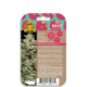 Donutz - HUMBOLDT SEEDS COMPANY | TanieSianie.pl