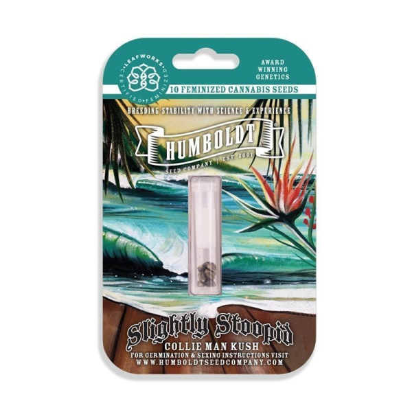 Slightly Stoopid Collie Man Kush - HUMBOLDT SEEDS COMPANY | TanieSianie.pl