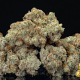 Passion Berry - THE CALI CONNECTION | TanieSianie.pl