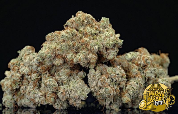 Passion Berry - THE CALI CONNECTION | TanieSianie.pl