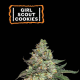 Girl Scout Cookies Auto - SEED STOCKERS | TanieSianie.pl