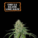 CBD 1:1 Silver Lime Haze Auto - SEED STOCKERS | TanieSianie.pl