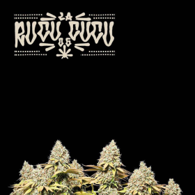 Rucu Cucu OG Auto - SEED STOCKERS | TanieSianie.pl