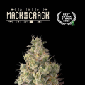 Mac & Crack Auto - SEED STOCKERS
