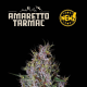 Amaretto Tarmac Auto - SEED STOCKERS | TanieSianie.pl