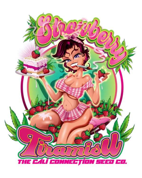 Strawberry Tiramisu - THE CALI CONNECTION | TanieSianie.pl
