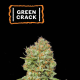 Green Crack - SEED STOCKERS | TanieSianie.pl
