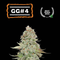 Gorilla Glue GG#4 - SEED STOCKERS