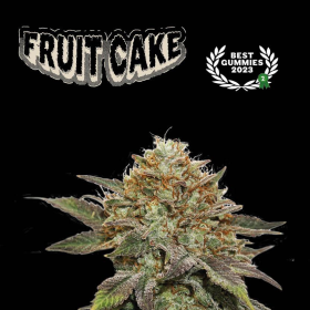 Fruit Cake - SEED STOCKERS | TanieSianie.pl