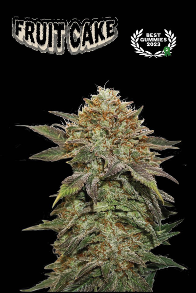 Fruit Cake - SEED STOCKERS | TanieSianie.pl