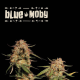 Blue Moby - SEED STOCKERS | TanieSianie.pl