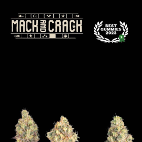 Mack & Crack - SEED STOCKERS | TanieSianie.pl