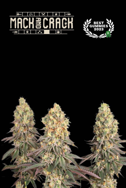 Mack & Crack - SEED STOCKERS | TanieSianie.pl