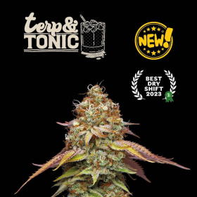 Terp & Tonic - SEED STOCKERS | TanieSianie.pl