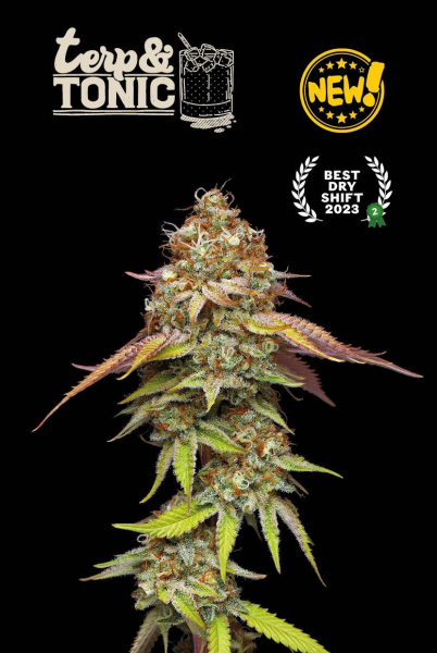 Terp & Tonic - SEED STOCKERS | TanieSianie.pl