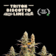 Triton Biscotto Lime - SEED STOCKERS | TanieSianie.pl