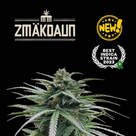 Zmäkdaun - SEED STOCKERS | TanieSianie.pl