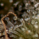 DMT Auto | TanieSianie.pl